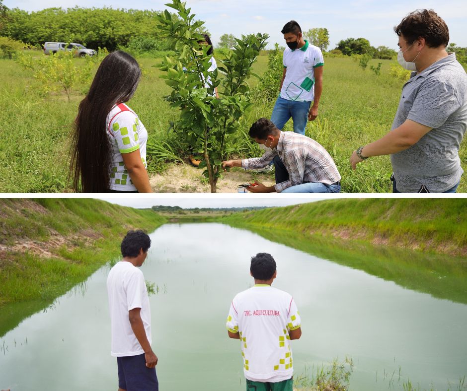 AQUICULTURA E AGROPECUÁRIA – Prorrogado prazo para  inscrições em seletivos de cursos técnicos e superior do Campus Amajari