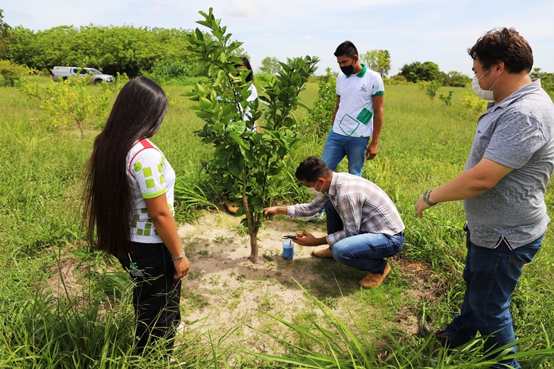 Campus Amajari terá programação alusiva ao Dia do Meio Ambiente