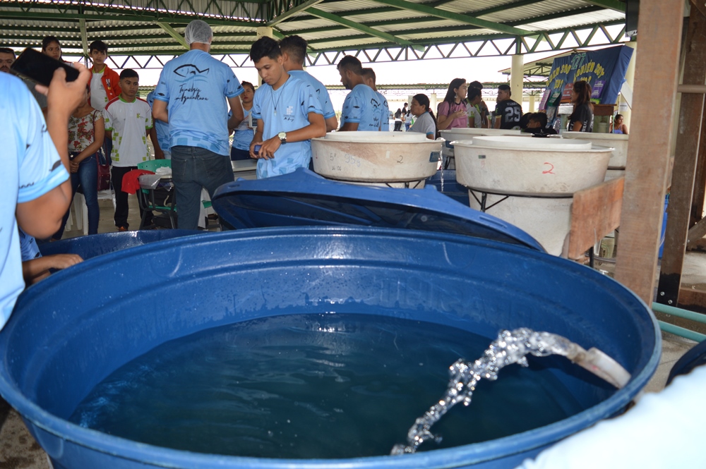 Trabalhos dos mais variados temas estiveram expostos