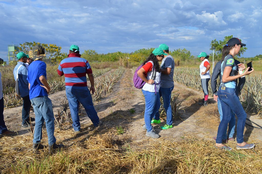 Atividades de campo ampliam conhecimentos e integram alunos da rede 