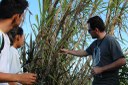 Cinco trabalhos do Campus Amajari são selecionados para Congresso Norte e Nordeste de Pesquisa e Inovação Cinco trabalhos do Campus Amajari são selecionados para Congresso Norte e Nordeste de Pesquisa e Inovação