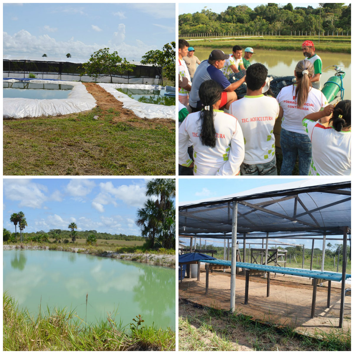 Encontro de pesca e aquicultura ocorre neste sábado com dia de campo