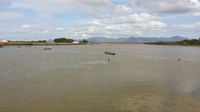 IFRR participa de oficina sobre pesquisa e monitoramento da biodiversidade aquática