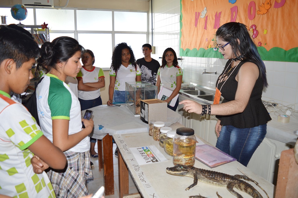 Mostra científica aproxima alunos do Amajari do mundo da ciência