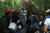 TURISMO E AGRICULTURA – Estudantes do IFRR aprendem em laboratório   vivo técnicas ensinadas em sala de aula