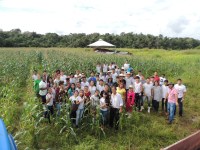 Colheita do milho contribui para a formação de estudantes do Campus Novo Paraíso