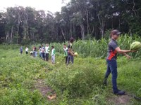 Lançado edital para contratação de profissionais para atuarem em curso de pós-graduação em Agroecologia 