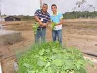 Projeto utiliza reaproveitamento da água de ar condicionado na irrigação de hortas