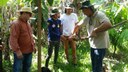 Primeiro tempo comunidade do  Curso Técnico Subsequente em Agropecuária em Regime de Alternância 2016.2 do CNP